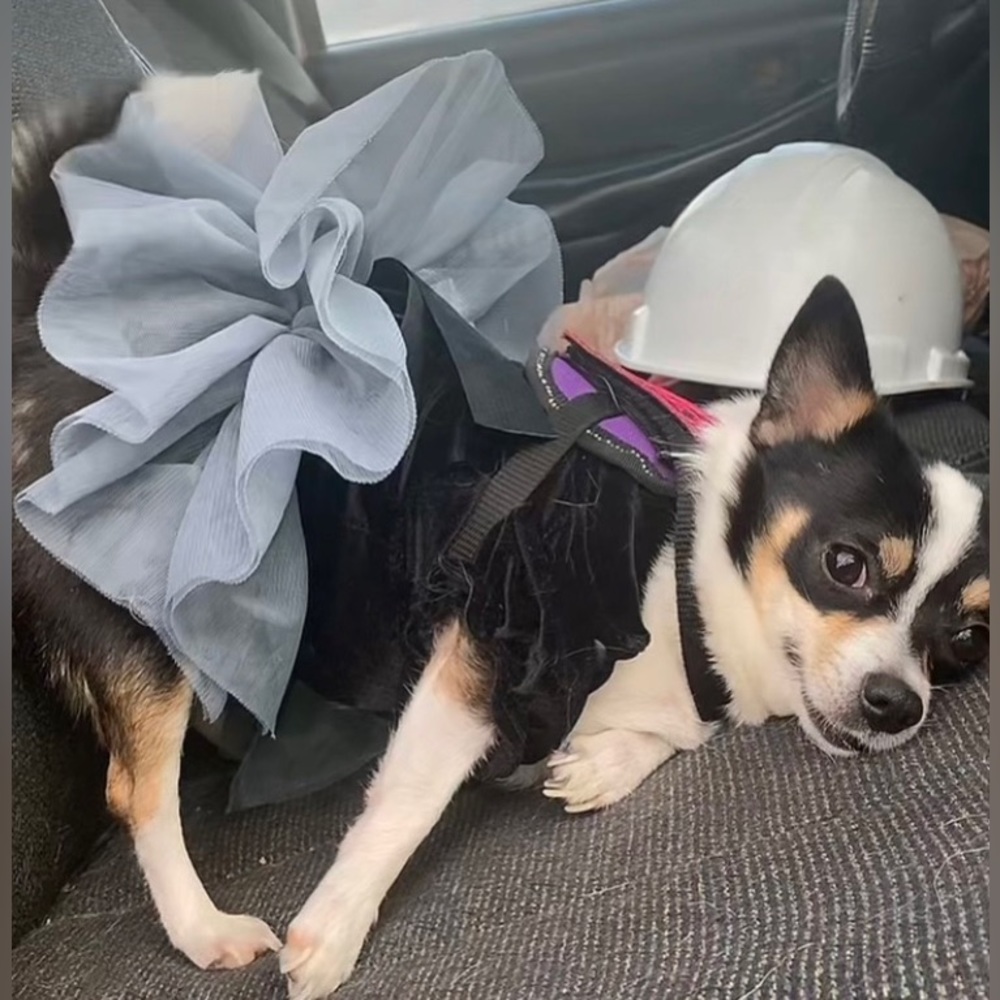 Seizures scare Special clear out SALE